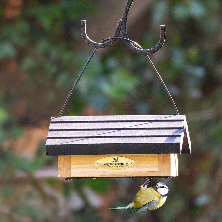 Vetblokhouder Odense