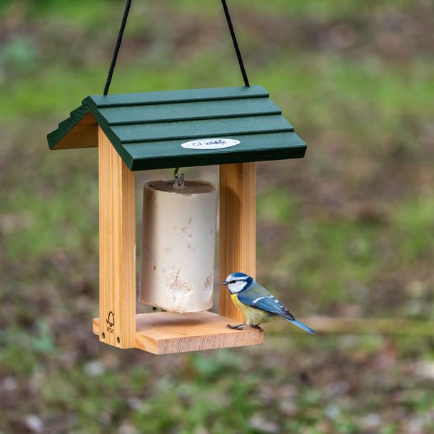 Pindacakehuis Cervina