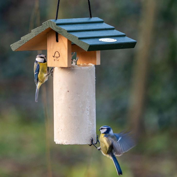 Pindacakehuis Claviere