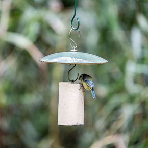 Vierno Pindacake Hanger