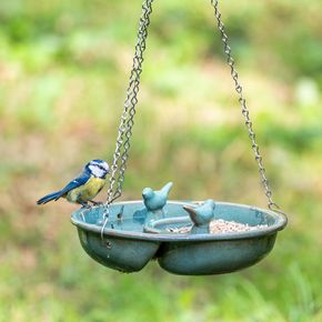 Vierno YinYang Water- en voederschaal