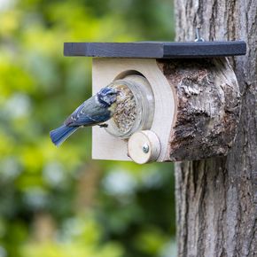 Pindakaaspothouder Calgary