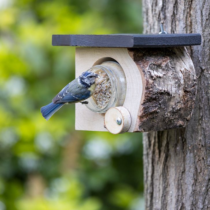 Pindakaaspothouder Calgary