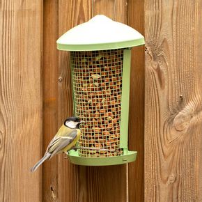 Pindasilo Hios mintgroen