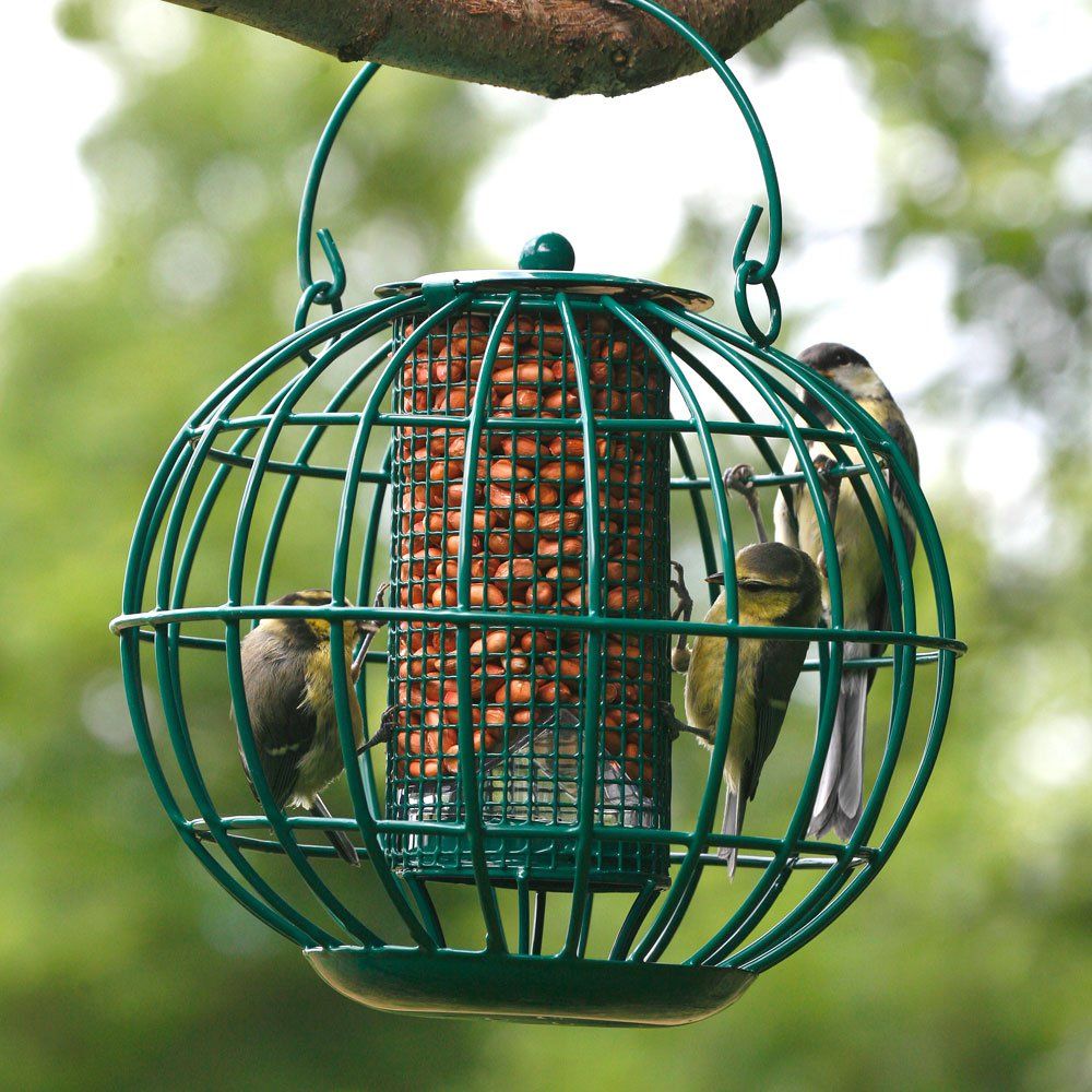 Zaadsilo beschermkooi voor kleine vogels | Voedersystemen | Langhout's