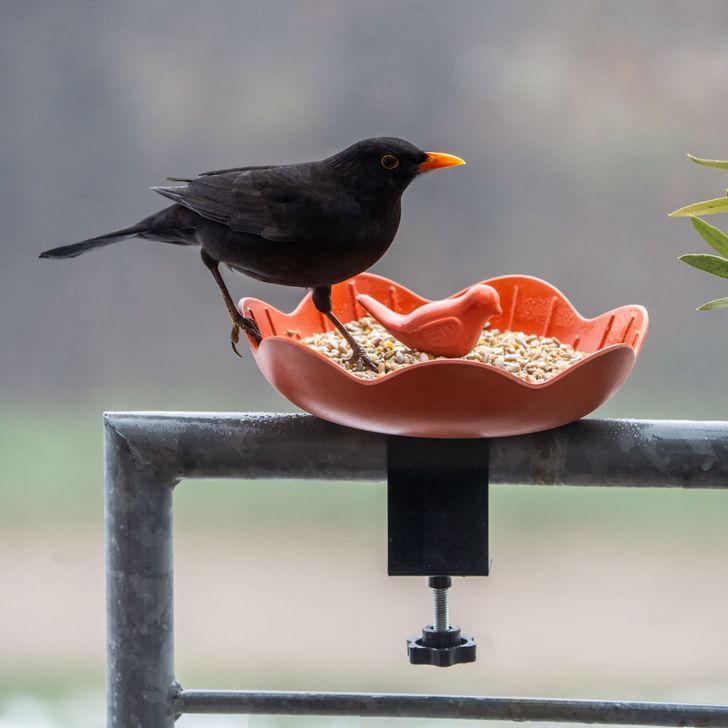 Balkon Voederschaal - Balus - Terracotta