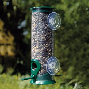 Raamsilo zaden Discovery