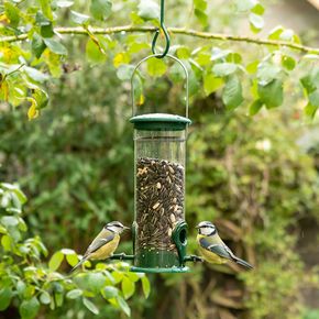 Beginnen met vogels voeren - pakket A