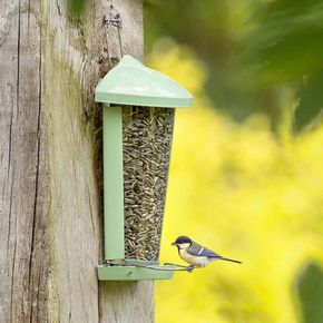 Voedersilo Delos mintgroen