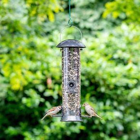 Zadensilo Adventurer medium 40cm