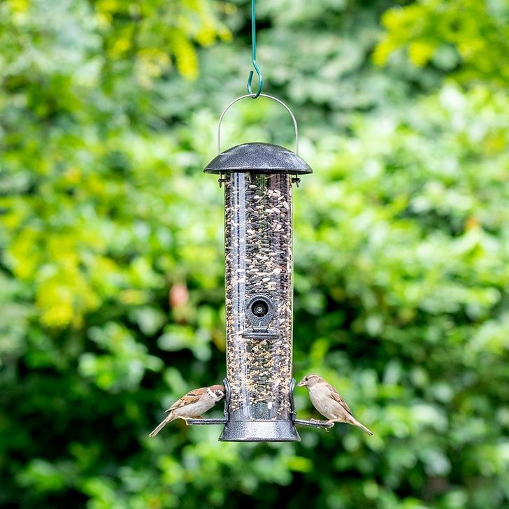 Zadensilo Adventurer medium 40cm