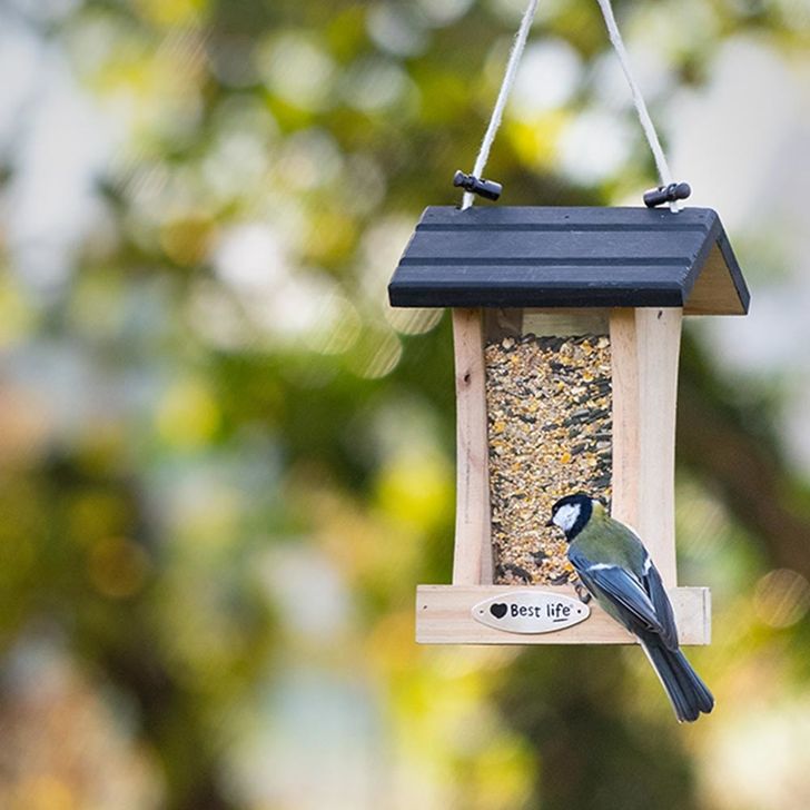 Voederhuis Cleveland