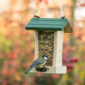 Hangend voederhuis St. Louis