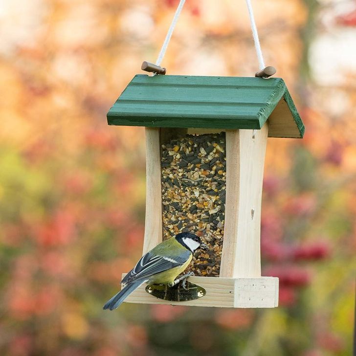 Hangend voederhuis St. Louis