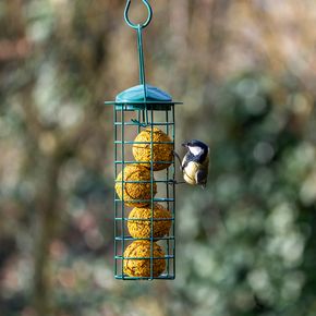 6 stuks - Biologische vetbollen