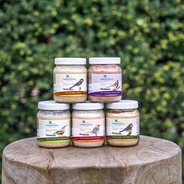 Premium vogelpindakaas variatiepakket