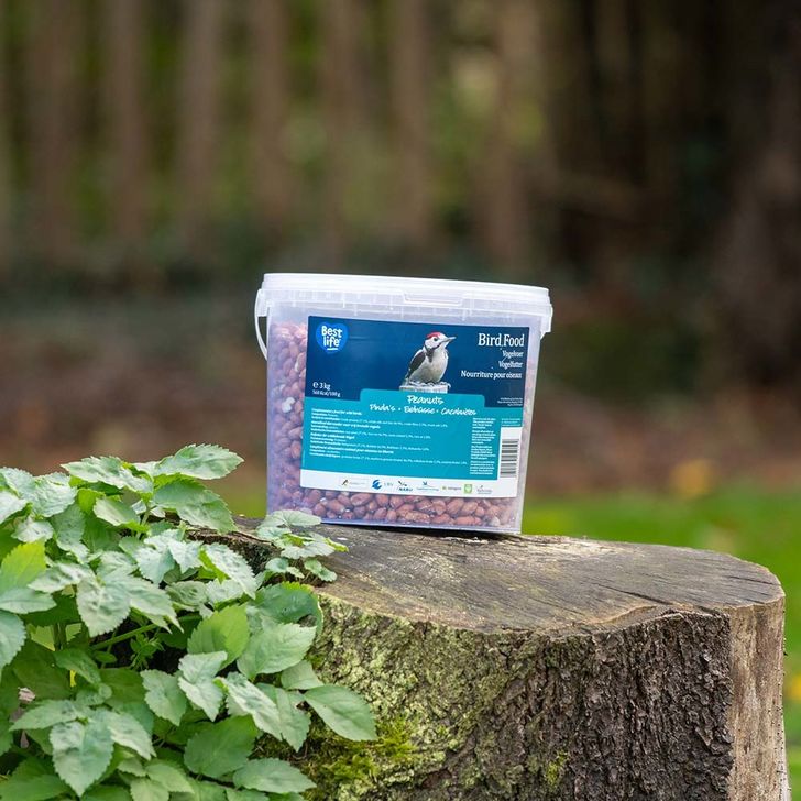 Pinda's 3 kg (emmer)