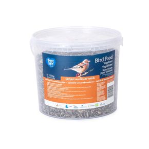 Gestreepte zonnebloempitten 2,25 kg (emmer)