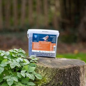 Gestreepte zonnebloempitten 2,25 kg (emmer)