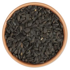 Zwarte Zonnebloempitten