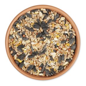 4-seizoenenstrooivoer met meelwormen