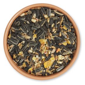 Premium zadenmix met insecten