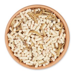 Eiwitrijke insectenmix 2,5kg