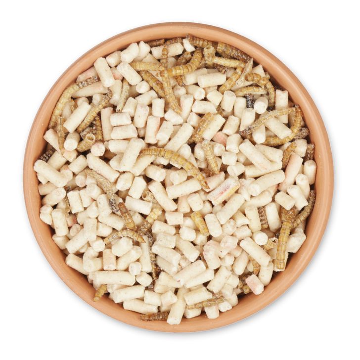 Eiwitrijke insectenmix 2,5kg