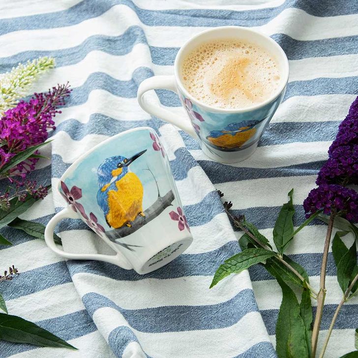 Mok IJsvogel - Myrte