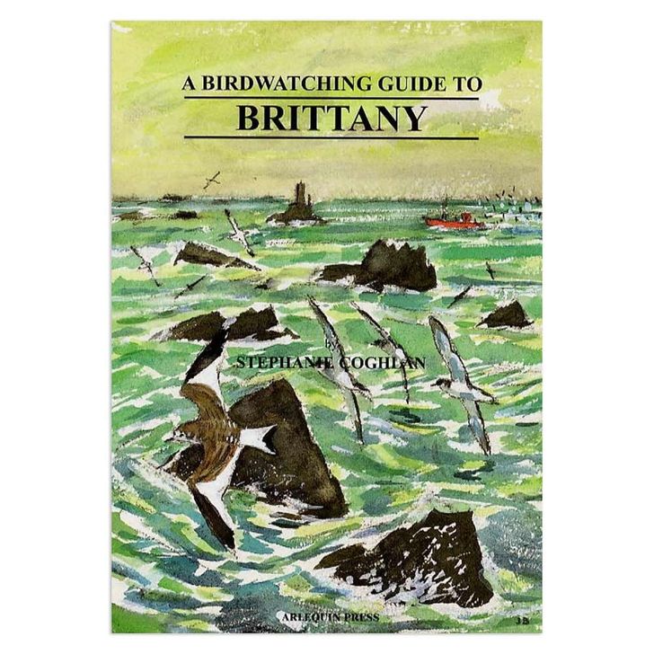 A Birdwatching Guide To Brittany