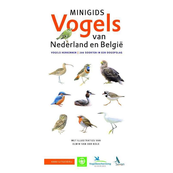Minigids Vogels van Nederland en België