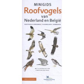 Minigids Roofvogels van Nederland en België