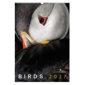 Birds posterkalender 2027