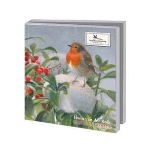 Wenskaartenset roodborstjes - Elwin van der Kolk