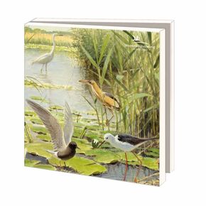 Wenskaartenset biotoop - Elwin van der Kolk