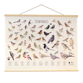 Wandposter Tuinvogels - Elwin van der Kolk