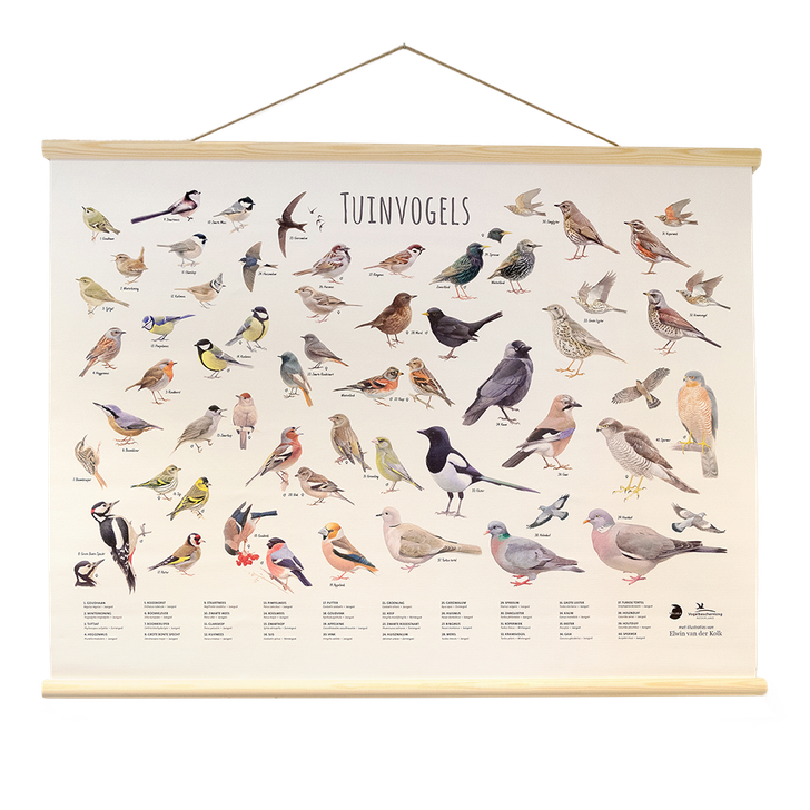 Wandposter Tuinvogels - Elwin van der Kolk