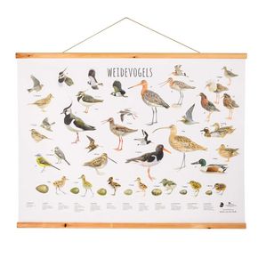 Wandposter Weidevogels - Elwin van der Kolk