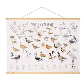 Wandposter Waddenvogels - Elwin vd Kolk