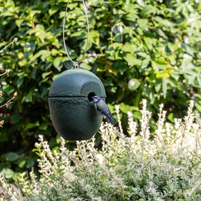 WoodStone® Nestkast Malaga 28mm groen