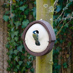 Vivara Nestkast Alicante Woodstone 28 mm bruin