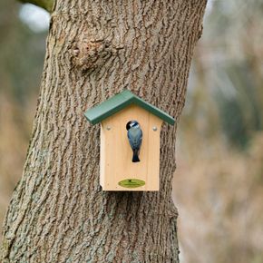 Nestkast Week van de Nestkast - Pimpelmees 28 mm