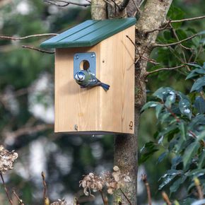 Nestkast Seattle met roofdier protectie 32 mm