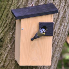 Nestkast Alura Opal - naturel