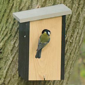 Nestkast Alura Onyx - zwart