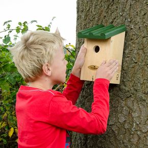 Nestkast Week van de Nestkast - Koolmees 32 mm