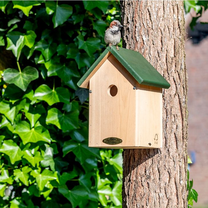 Nestkast Oklahoma 34 mm