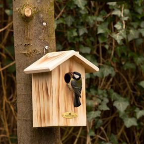 Anson nestkast 34 mm