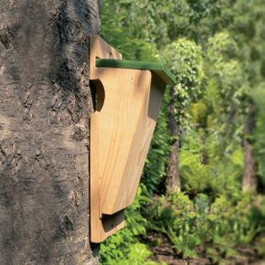 Vivara nestkast boomkruiper hout