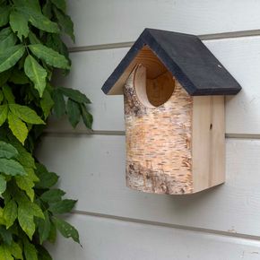 Berken Nestkast Ottawa half open